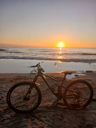 Bici scott genius 950