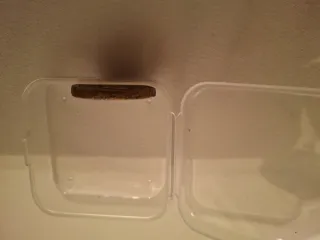 Moneda Romana/Griega Antigua Rara