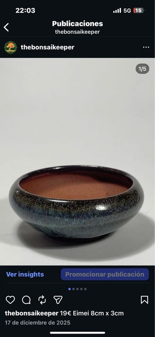 Maceta bonsai cerámica negra/marrón