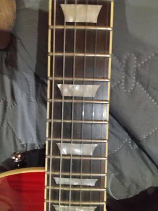 Epiphone Les Paul Standard Pro Guitarra