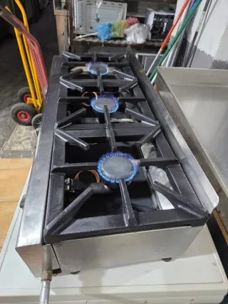 Cocina Industrial 3 Fuegos