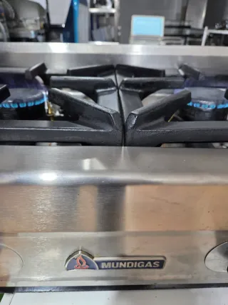 Cocina Industrial 3 Fuegos