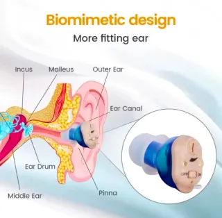 Mini Amplificador Sonido Scienlodc Inalámbrico