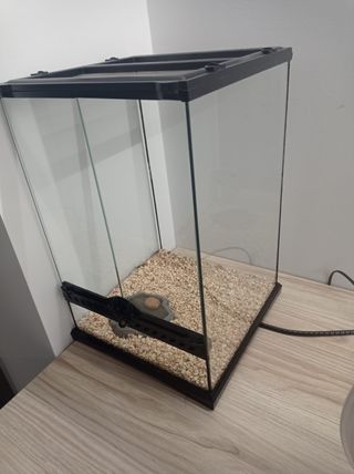 Terrario Exo Terra 30x30x45