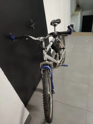 Bicicleta de montaña