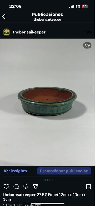 Maceta Bonsái Eimei Terracota Verde