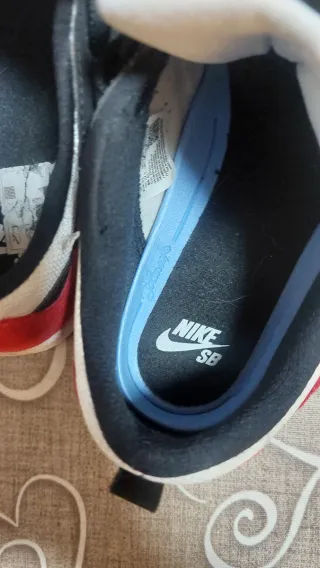 Nike SB Alleyoop Chicago