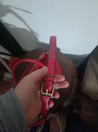 Borsa Carpisa donna rossa