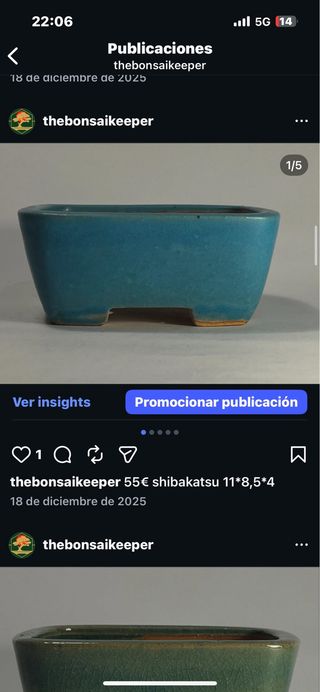 Maceta bonsai shibakatsu 11x8.5x4 cm