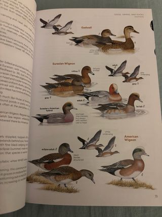 National Geographic Field Guide to the Birds of...
