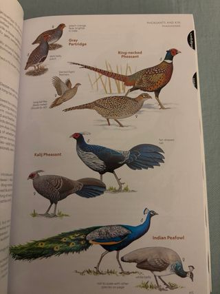 National Geographic Field Guide to the Birds of...