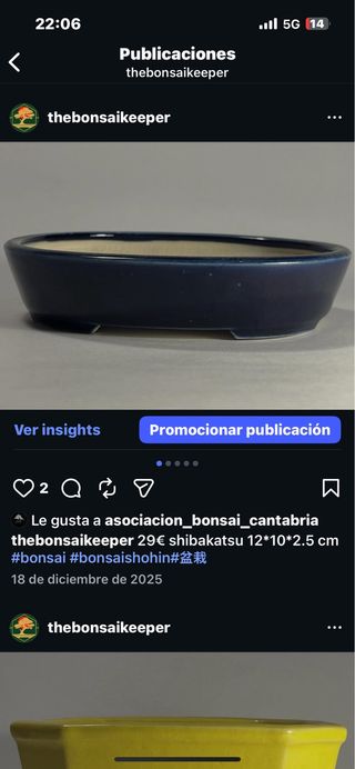 Maceta bonsai japonesa