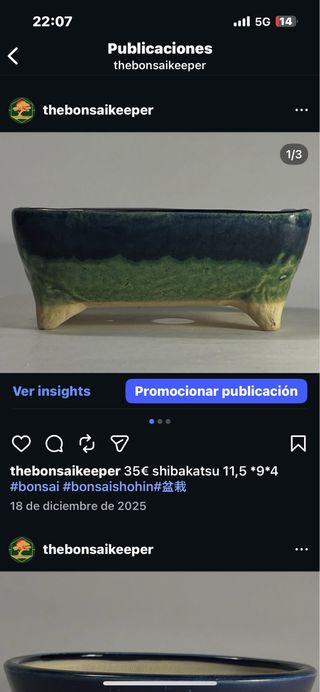 Maceta bonsái Shibakatsu azul/verde