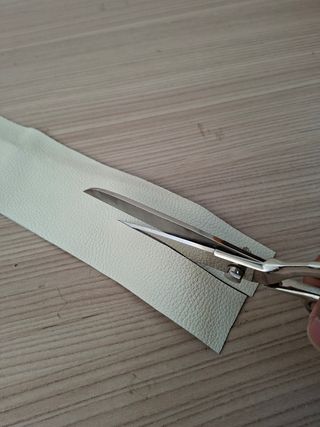 Forbici professionale