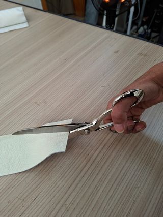 Forbici professionale