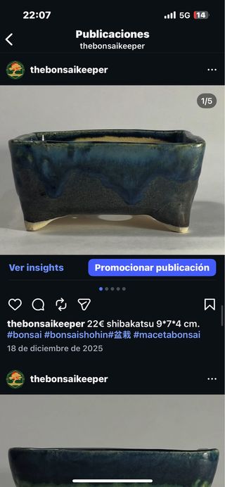 Maceta bonsai shibakatau cerámica