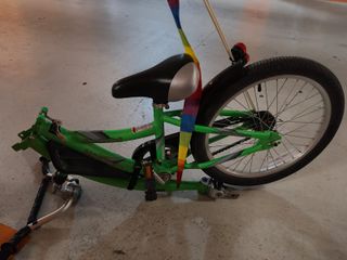 WeeRide Go Pilot - Remolque bici niños