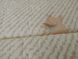 Parque infantil para bebés