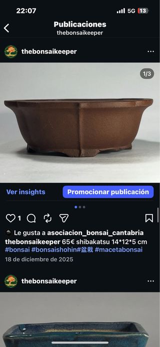 Maceta Shibakatsu Terracota 14x12x5 cm