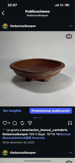 Maceta Bonsái Bigei Terracota
