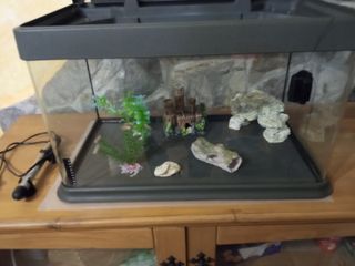 Acuario con filtro gris