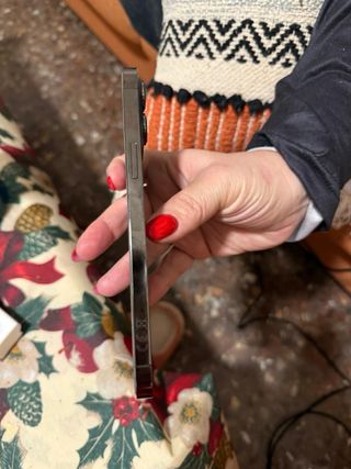 iPhone 13 Pro Max 256 GB Gris Grafito