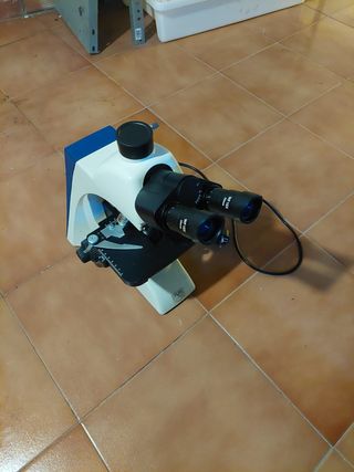Microscopio LEVAL/LENENHUZ y cámara OPTIKA 5MP