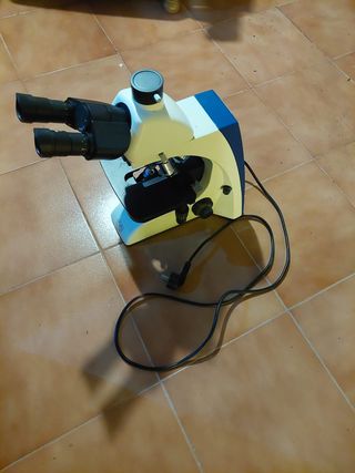 Microscopio LEVAL/LENENHUZ y cámara OPTIKA 5MP