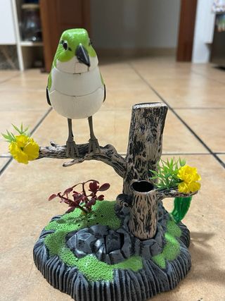 Pájaro Decorativo Que Canta