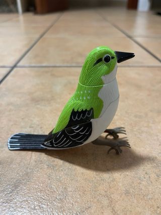 Pájaro Decorativo Que Canta