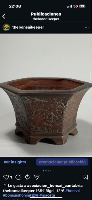 Maceta Bonsái Bigei Terracota 12x6