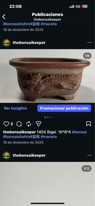 Maceta Bigei para bonsai terracota