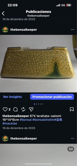 Maceta Bonsai Terahata Satomi 16x14x6cm