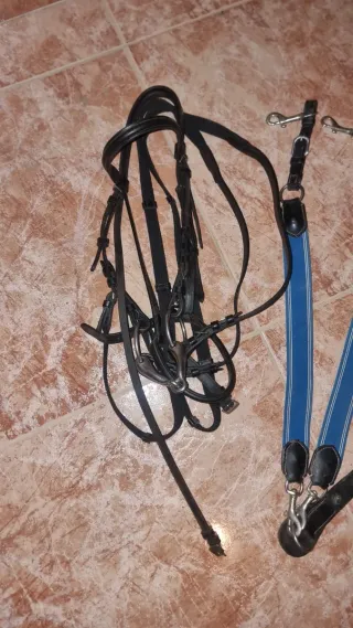 Cabezada y Pechopetral Pony