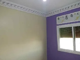 Servicios de pintura profesional