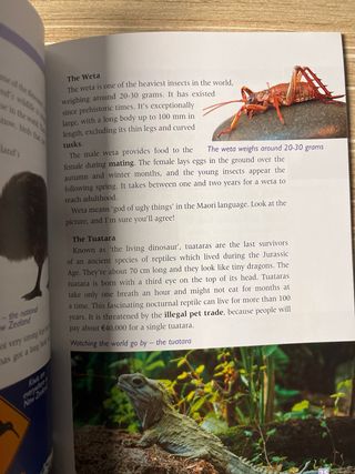 ALL ABOUT NEW ZEALAND 3ºESO