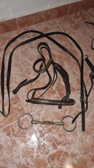 Cabezada y pechopetral  caballo