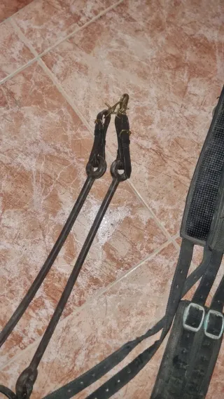 Cinchuelo y gomas para caballo