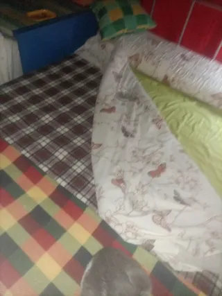 Lámpara Techo Estilo Marino Latón