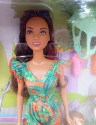 Pack 2 Muñecas Barbie con Accesorios