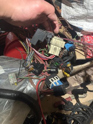 Cableado Motor BMW M57 E39