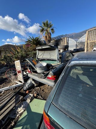 Despiece Mercedes 300D