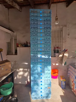 Cajas de plástico para carne