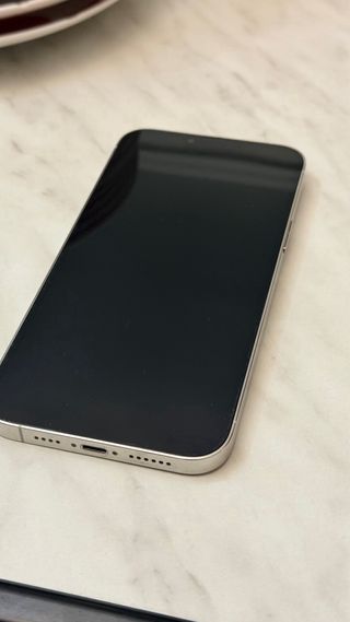 iPhone 13 Pro Max 1TB Plata en perfecto estado