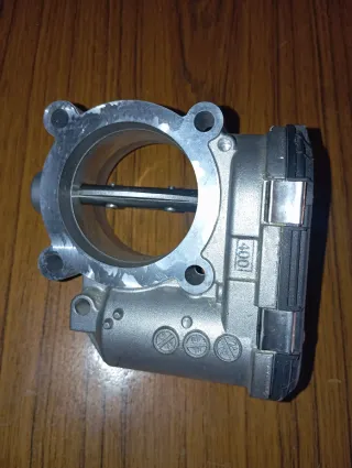 Cuerpo Mariposas Mercedes