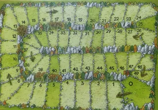 Carcassonne Cazadores y Recolectores Juego Mesa