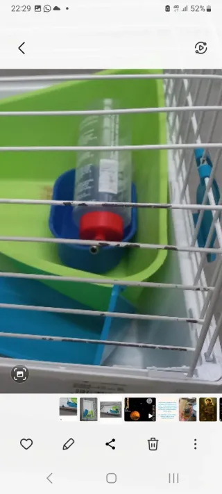 Jaula para conejo con accesorios