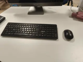 Ordenador Asus All-in-One  Negro/Plata