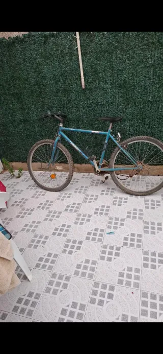 Bicicleta de montaña azul