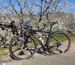Specialized Diverge Pro Carbon